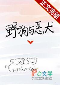 瑰丽无比瑰丽是什么意思