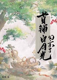 异闻镜中奇遇记怎么做
