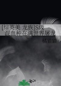 [综英美+龙族同人] S级混血种在满世界屠龙