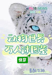 腹黑老公嫁不得米西亚